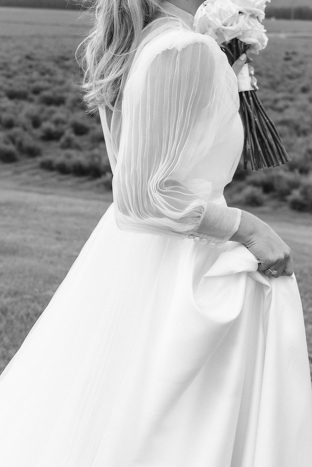 The Bluebird Collective