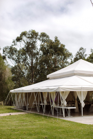 Elke-miles - The Bluebird Collective