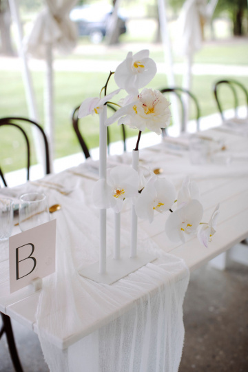 Elke-miles - The Bluebird Collective