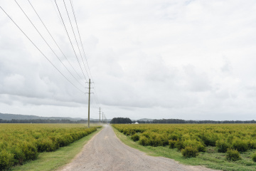 Genevieve-and-eoin - The Bluebird Collective