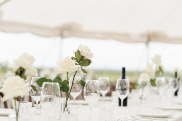 Genevieve-and-eoin - The Bluebird Collective