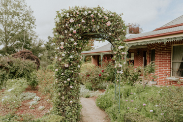 Holly-and-james - The Bluebird Collective