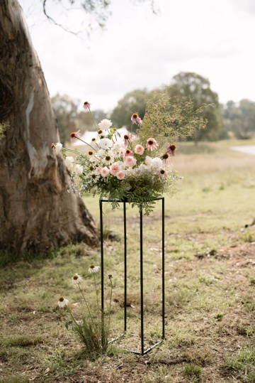 Jess-dave - The Bluebird Collective