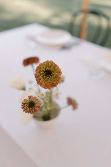 Jess-dave - The Bluebird Collective