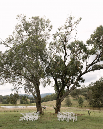 Jess-dave - The Bluebird Collective