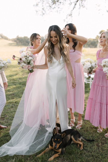 Jess-dave - The Bluebird Collective