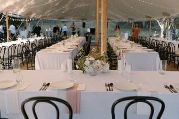 Jess-dave - The Bluebird Collective