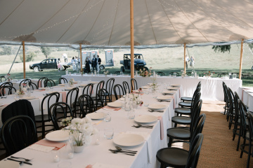 Jess-dave - The Bluebird Collective