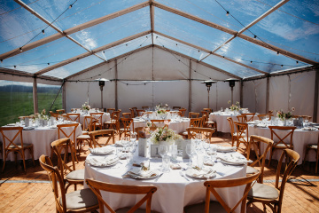 Kat-and-ed - The Bluebird Collective