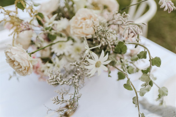 Sarah-patrick - The Bluebird Collective