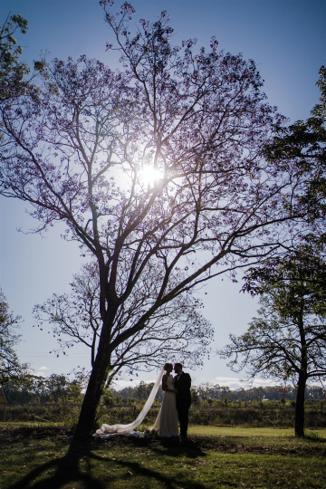 Sarah-patrick - The Bluebird Collective